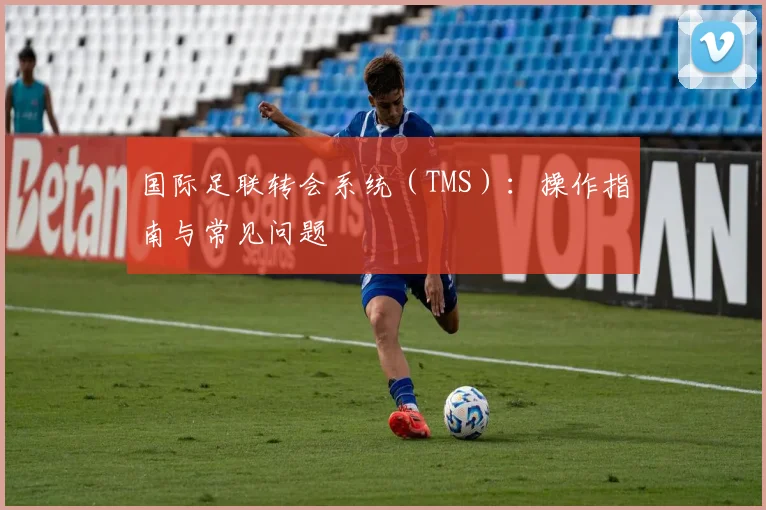 国际足联转会系统(TMS):操作指南与常见问题