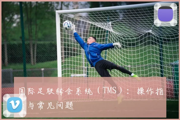 国际足联转会系统（TMS）：操作指南与常见问题
