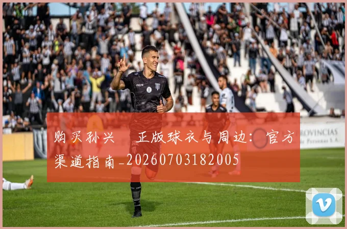 购买孙兴慜正版球衣与周边:官方渠道指南_20260703182005