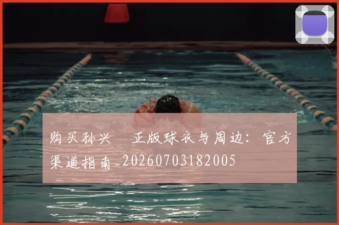 购买孙兴慜正版球衣与周边：官方渠道指南_20260703182005